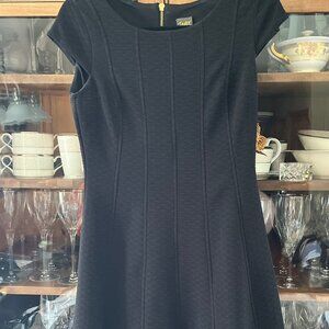 Taylor Black Dress- Cap Sleeve SZ 2 Beautiful!